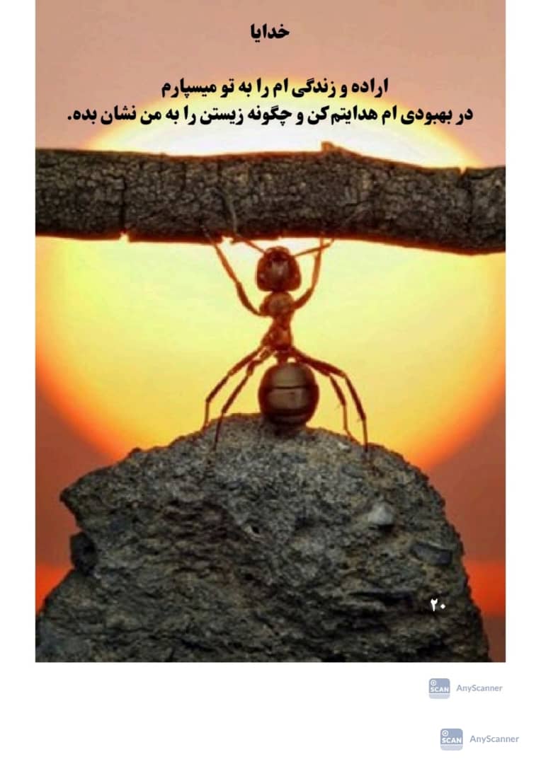 کمپ و مرکز ترک اعتیاد بدون درد و خماری توحید در بندر دیلم